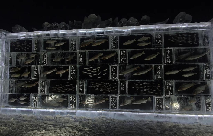 黑龙江三江口景区现3米高“冰封鱼墙