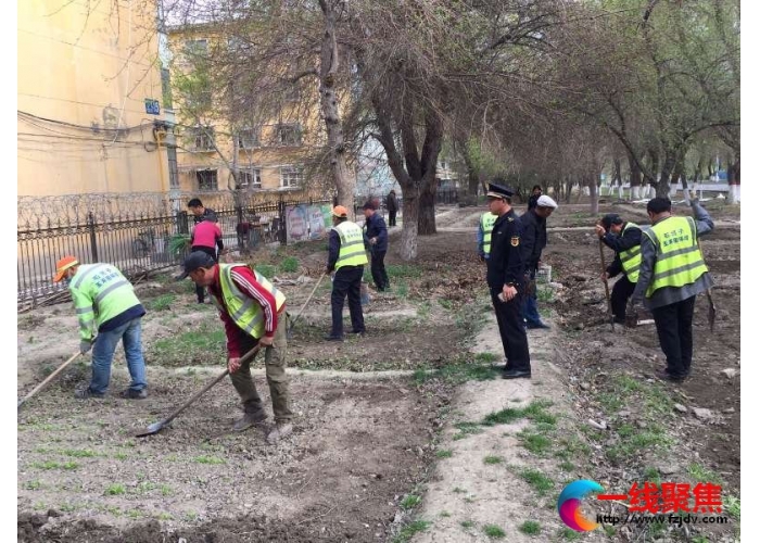 园林管理所持续整治城区占用绿地种菜行为