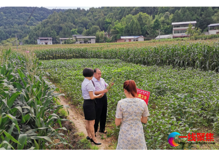 建好乡村妇女产业发展就业增收基地