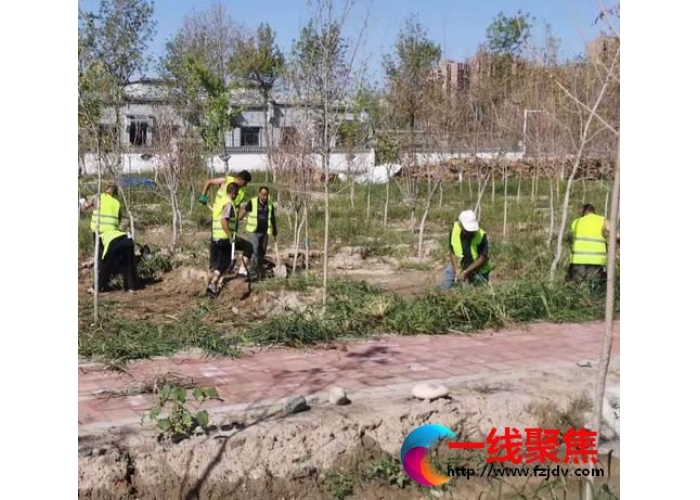 加强监管，持续推进重点项目建设