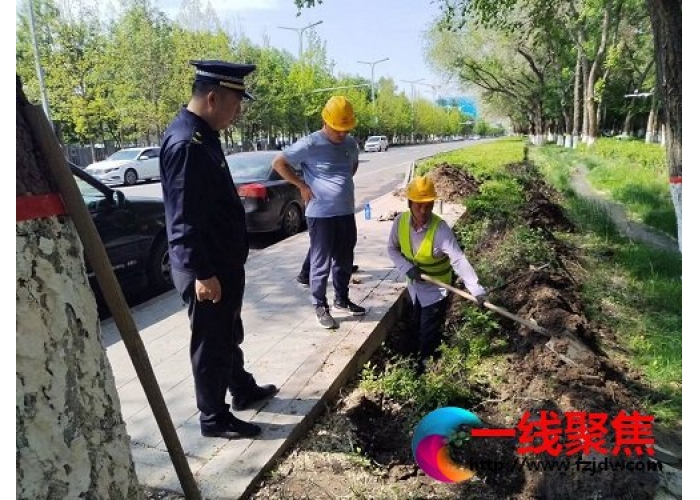 以党建为引领 推进园林绿化监管工作