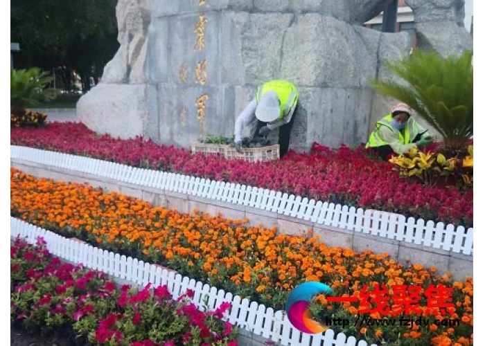 更换时令花卉  扮靓城市添美景