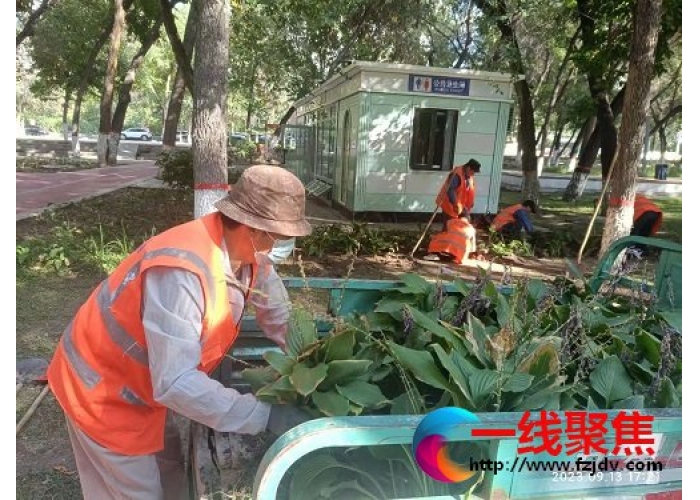 补植补栽 为创“生态园林城”增绿添彩