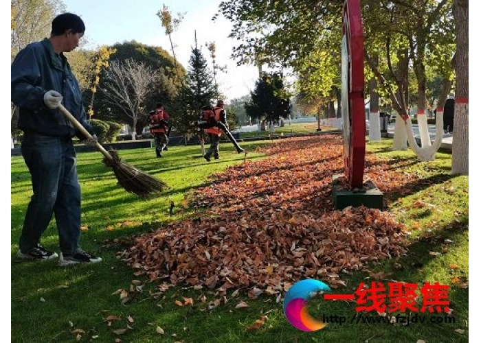 又是落叶飘飞季　园林工人清扫忙