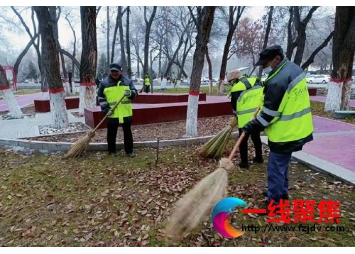 清理落叶枯枝 让窗口单位美景亮出来