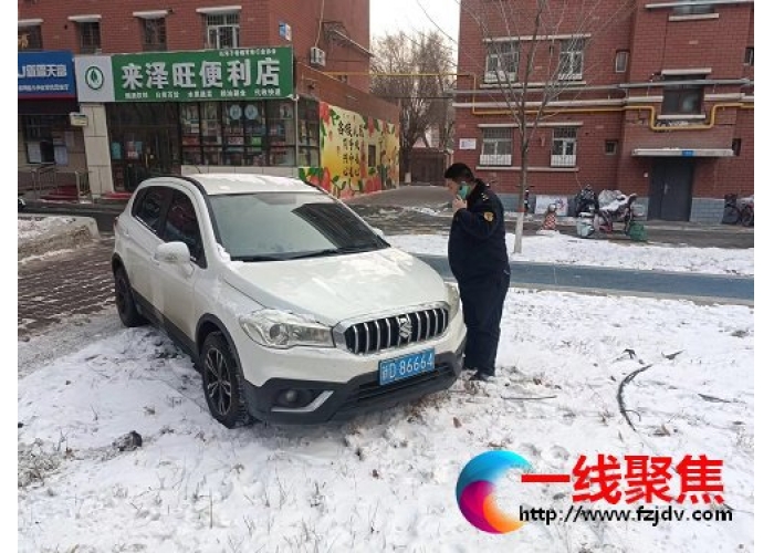 任性违停 绿地遭殃