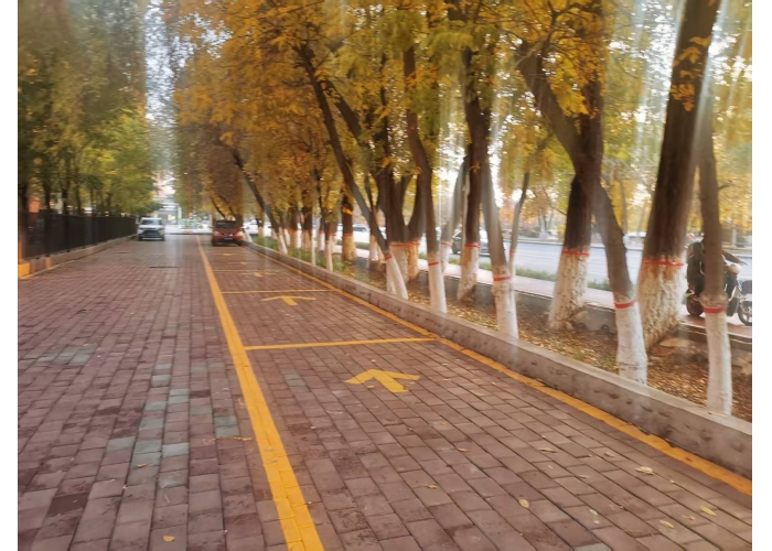 闲置空地“变身”便民停车场 石河子42、43小区新增55个停车位