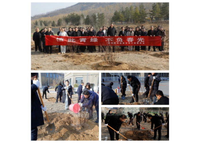 陕旅集团延安公司开展植树活动